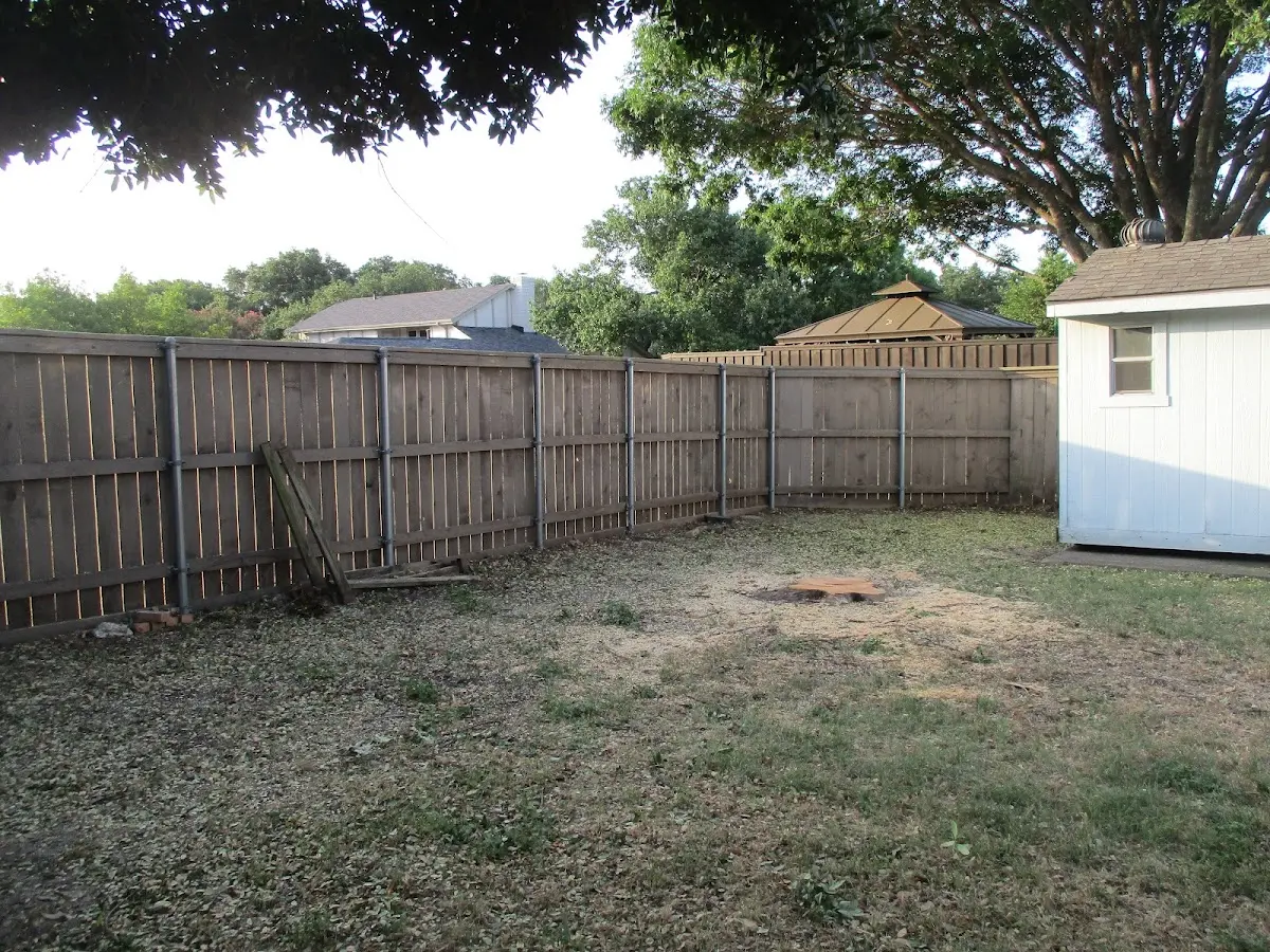Cleared yard after professional tree removal in Scipio